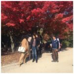 Anaswara Kumar Instagram – When you’re always camera ready👸😉🙈😂 #saycheese #grouppicture #fails …
.
.
.
.
.
 #불국사 #bulguksa #여행스타그램 #smile 慶州佛國寺 – 불국사