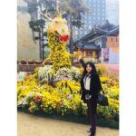 Anaswara Kumar Instagram - At #jogyesa #조계사