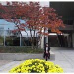 Anaswara Kumar Instagram - At the National Museum Of Korea #국립중앙박물관
