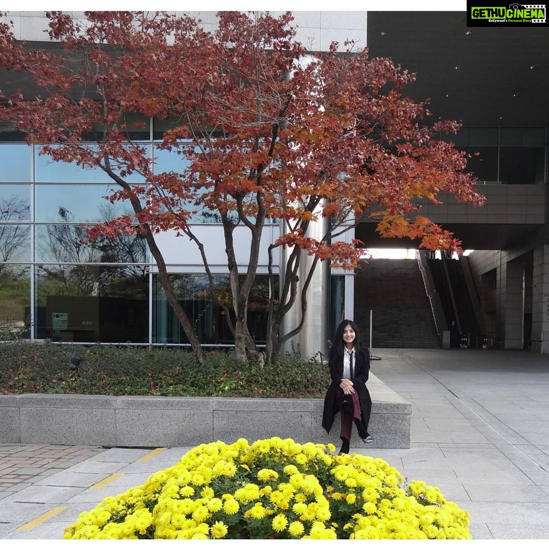 Anaswara Kumar Instagram - At the National Museum Of Korea #국립중앙박물관