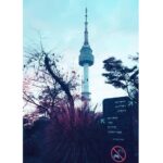 Anaswara Kumar Instagram - 1.📸👉 #grouppic at #namsan 2.📸👉 Namsan tower #dayview 3.📸👉Namsan tower #nightview 남산서울타워