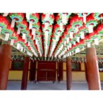 Anaswara Kumar Instagram - Oh , hey there ! 😉 . . . . . . . . . . . . . #bulguksa #불국사 #여행스타그램 #사원 #lotuslantern #wishes 慶州佛國寺 - 불국사