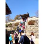 Anaswara Kumar Instagram - Life moves pretty fast. If you don’t stop and look around once in a while, you could miss it. 🦄📸🤸 . . . . . . . #bulguksa #불국사 #경주 #사원 #여행스타그램 #90skid #ferrisbuellerwisdom #deepthoughts #photoskills 慶州佛國寺 - 불국사