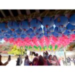 Anaswara Kumar Instagram - Life moves pretty fast. If you don’t stop and look around once in a while, you could miss it. 🦄📸🤸 . . . . . . . #bulguksa #불국사 #경주 #사원 #여행스타그램 #90skid #ferrisbuellerwisdom #deepthoughts #photoskills 慶州佛國寺 - 불국사