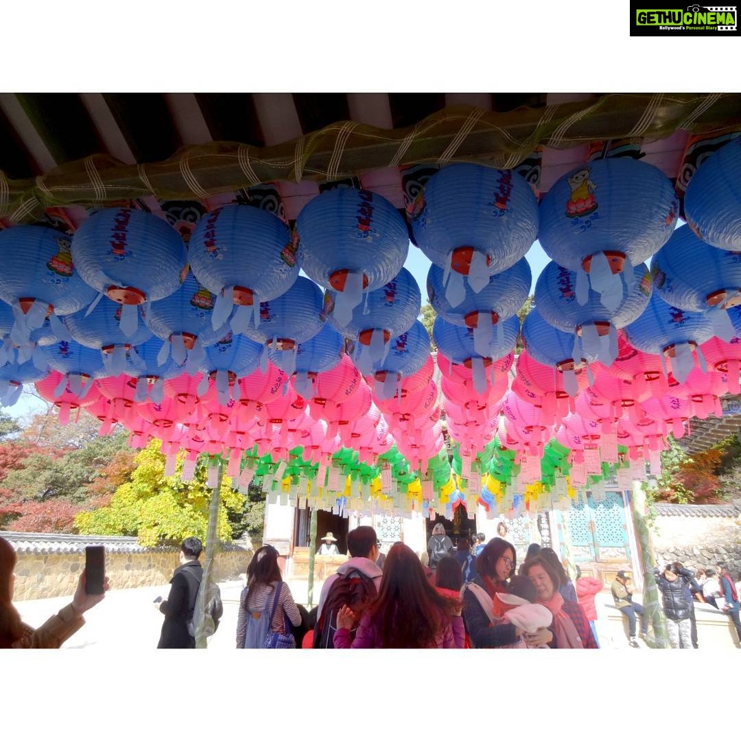 Anaswara Kumar Instagram - Life moves pretty fast. If you don’t stop and look around once in a while, you could miss it. 🦄📸🤸 . . . . . . . #bulguksa #불국사 #경주 #사원 #여행스타그램 #90skid #ferrisbuellerwisdom #deepthoughts #photoskills 慶州佛國寺 - 불국사