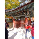 Anaswara Kumar Instagram - Life moves pretty fast. If you don’t stop and look around once in a while, you could miss it. 🦄📸🤸 . . . . . . . #bulguksa #불국사 #경주 #사원 #여행스타그램 #90skid #ferrisbuellerwisdom #deepthoughts #photoskills 慶州佛國寺 - 불국사