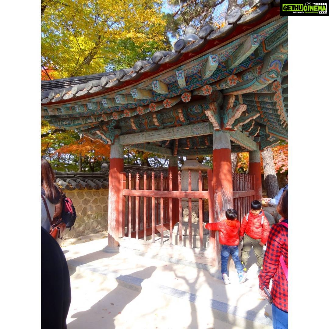 Anaswara Kumar Instagram - Life moves pretty fast. If you don’t stop and look around once in a while, you could miss it. 🦄📸🤸 . . . . . . . #bulguksa #불국사 #경주 #사원 #여행스타그램 #90skid #ferrisbuellerwisdom #deepthoughts #photoskills 慶州佛國寺 - 불국사