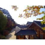 Anaswara Kumar Instagram - Life moves pretty fast. If you don’t stop and look around once in a while, you could miss it. 🦄📸🤸 . . . . . . . #bulguksa #불국사 #경주 #사원 #여행스타그램 #90skid #ferrisbuellerwisdom #deepthoughts #photoskills 慶州佛國寺 - 불국사