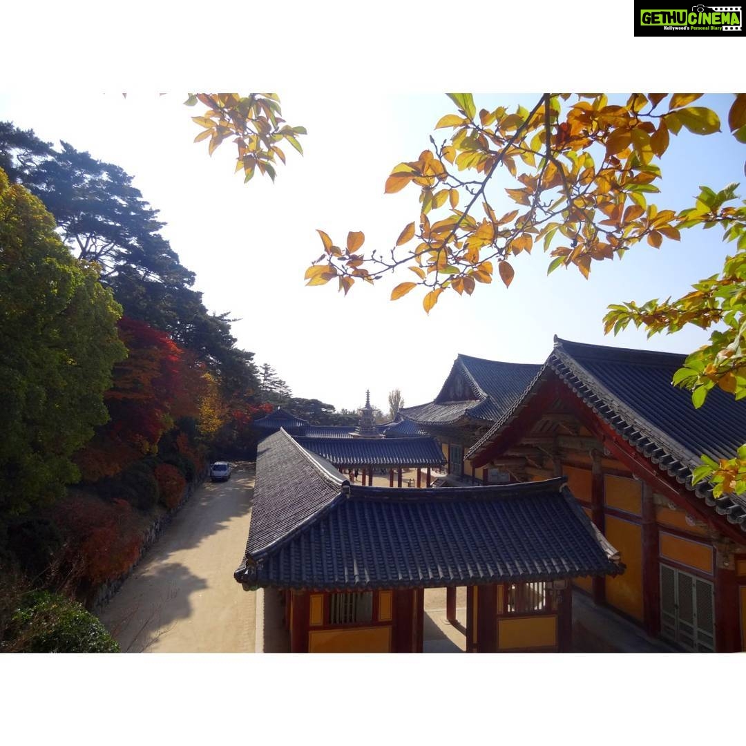 Anaswara Kumar Instagram - Life moves pretty fast. If you don’t stop and look around once in a while, you could miss it. 🦄📸🤸 . . . . . . . #bulguksa #불국사 #경주 #사원 #여행스타그램 #90skid #ferrisbuellerwisdom #deepthoughts #photoskills 慶州佛國寺 - 불국사