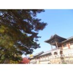 Anaswara Kumar Instagram – #불국사 #bulguksa #사원
.
.
.
.
. .
 #clickclick #여행스타그램 Bulkuk Temple-불국사 청운교백운교