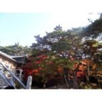 Anaswara Kumar Instagram – #불국사 #bulguksa #사원
.
.
.
.
. .
 #clickclick #여행스타그램 Bulkuk Temple-불국사 청운교백운교