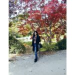 Anaswara Kumar Instagram – 👋😀 🍁👸🍁
.
.
.
.
.
.
#불국사  #bulguksa #gyeongju #hithere #fallselfie #여행스타그램 慶州佛國寺 – 불국사