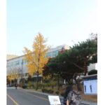 Anaswara Kumar Instagram - Met up with The Korean Society Of Indian Studies and faculty of the Department of Asian Languages and Civilizations At #snu .Learned and Exchanged views on how to promote interest for Indian studies and culture in Korea. #seoulnationaluniversity #서울대학교 #인도 #첸나이 Seoul National University