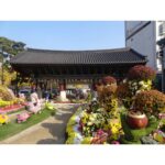 Anaswara Kumar Instagram - At #jogyesa #조계사