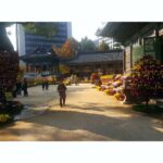 Anaswara Kumar Instagram - At #jogyesa #조계사