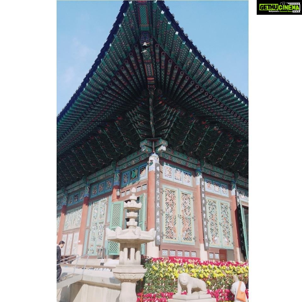 Anaswara Kumar Instagram - What fills the eyes fills the heart. . . . . . . . . . #조계사 #사원 #jogyesa