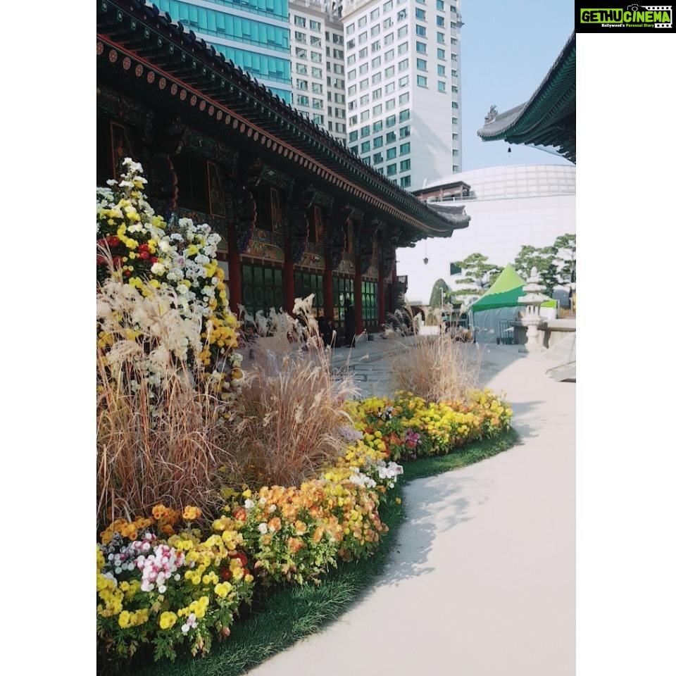 Anaswara Kumar Instagram - What fills the eyes fills the heart. . . . . . . . . . #조계사 #사원 #jogyesa
