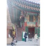 Anaswara Kumar Instagram - What fills the eyes fills the heart. . . . . . . . . . #조계사 #사원 #jogyesa