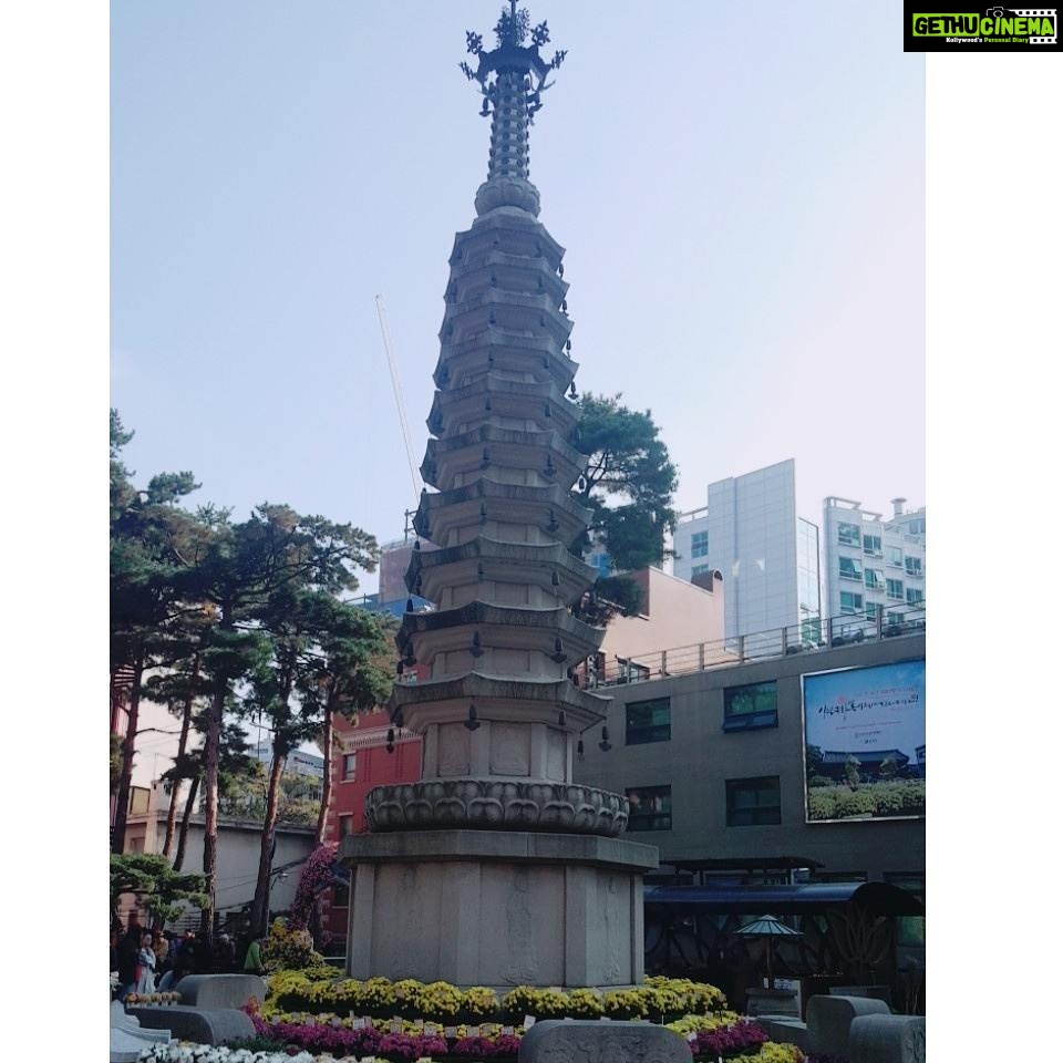 Anaswara Kumar Instagram - What fills the eyes fills the heart. . . . . . . . . . #조계사 #사원 #jogyesa