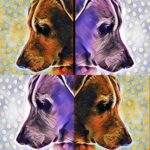 Anaswara Kumar Instagram – 🐶🐾💖