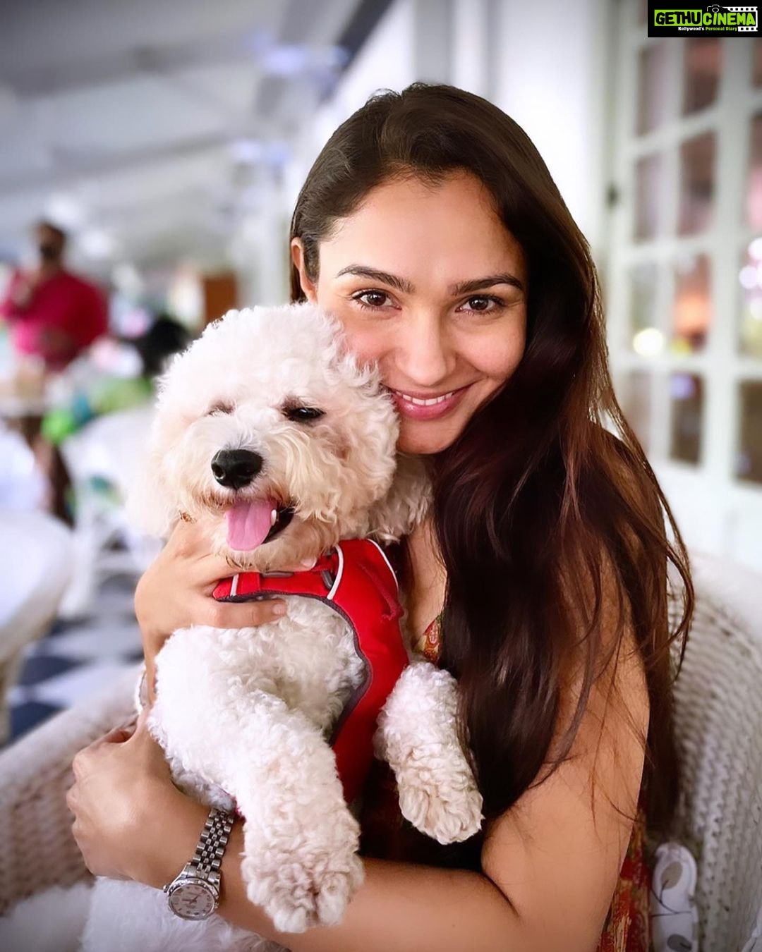 Andrea Jeremiah Instagram - Baby’s day out 🐶❤️