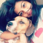 Anisha Ambrose Instagram - Good morning everyone...😊 . . . FOLLOW..@anishaambrose_official . . . #anishadieheardfan #anishaambrose #anishafanpage #anishafanclub #kajalagarwal #samantharuthprabhu #tamannahbhatia #rashikanna #sruthihassan #rakulpreetsingh #tollywoodactress #doglovers #telugucinema #actresslife #goodmood #goodmorning #petlovers #animallovers #lazy #vijaydevarakonda #viral #vintage #dog #instadaily