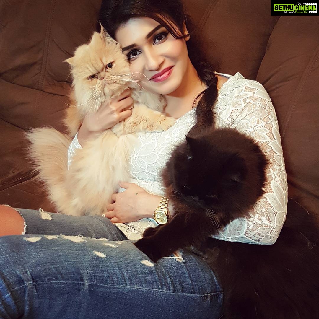 Anjena Kirti Instagram - Here is a picture of my Boys trying to escape my most loving (life threatening as they presume) squeeeeeeeeeeze 😍💕😘❤
