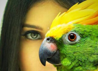 Anjena Kirti Instagram - Another lovely edit I received on Twitter..💚 #Anjenakirti thanks @arunkumar_nanjundan