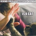 Anjena Kirti Instagram - #truestory @cats_of_instagram #lovemyboys