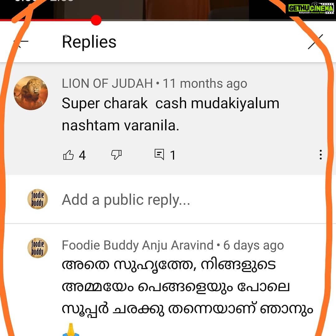 Anju Aravind Instagram - കഷ്ടം... ഓരോരുത്തരുടെയും കാഴ്ചപ്പാട്.... ന്തായാലും നല്ല റിപ്ലൈ കൊടുക്കാൻ സാധിച്ചു. 🙏