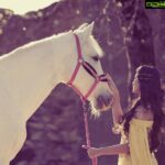 Anju Kurian Instagram - Go where your dreams take you 🐎