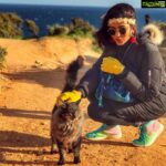 Anju Kurian Instagram - All journeys have secret destinations of which the traveler is unaware. #portugaldiaries #traveltime #petlover #colourfullife #funnylook #beautifuldestinations #lovemylife #momentscaptured #enjoylittlethings P.c - @jenson_16 Editing - @vg_bala