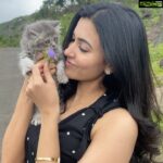 Anju Kurian Instagram - She came, purred and conquered .❤️❤️❤️ #mammosi #mammalovesmammosi #mylittleangel #petlover