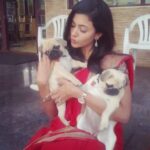 Anju Kurian Instagram – Be with those that bring out the best in you not the stress in you. 
#puglover #funtime #puppiesatwork  #lovemyjob #ammayumkunjum #goodnightpost🌙