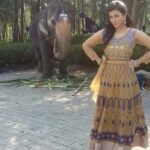Anju Kurian Instagram - In mal --> 👹-2-🐘 In eng-->2-🐘-👹 In Tamil --> no idea 😂😜 Guess this caption 😉😄🙈😂😂