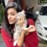 Anju Kurian Instagram - Love you fur-ever ❤️🐾. #mammalovesmammosi #mammosi
