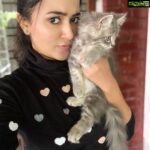 Anju Kurian Instagram - We’ve got CATTITUDE 😎! #mammosi #mammalovesmammosi