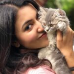 Anju Kurian Instagram - Life is pawsome with you around 🐾. 📸- @thetravelleraa . . . #mammalovesmammosi #petlover #instacat #meowlife #blessedlife #luckycharm #mammosilove