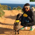 Anju Kurian Instagram - Some angels choose fur instead of wings 🥰🧚🏻‍♀️ . Where do you want to go when everything is back to normal ??? 😍 . . . #travelhangover #wanderlust #throwback #naturelover #portugaldiaries #mothernaturesbeauty #kittycuddles #sharelove #momentslikethis #truehappiness #travellerlife #wildandfree #embracethejourney