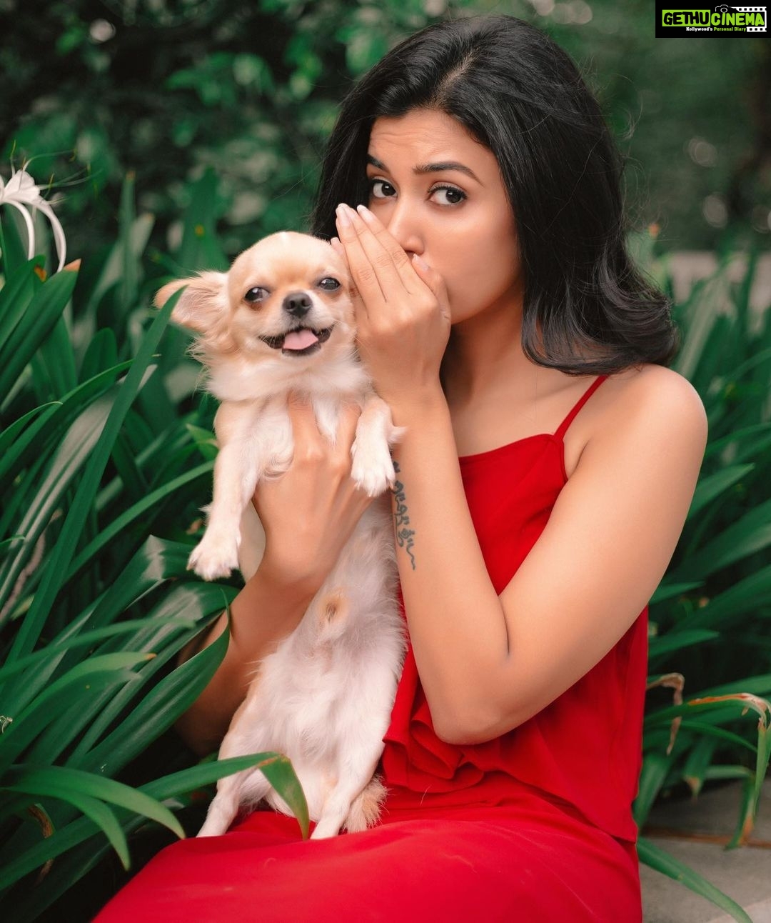 Anju Kurian Instagram - Now he knows all my secrets🐶🤫🙈. . . . P.C - @thevenkatbala