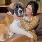 Anju Kurian Instagram - He stole my heart 💓🐾 🙈. . . . . 📱- @thetravelleraa