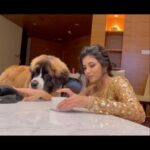 Anju Kurian Instagram - ❤️🐾❤️ . . . . 🎥- @thetravelleraa 👗- @suresh.menon 💁‍♀️- @pinky