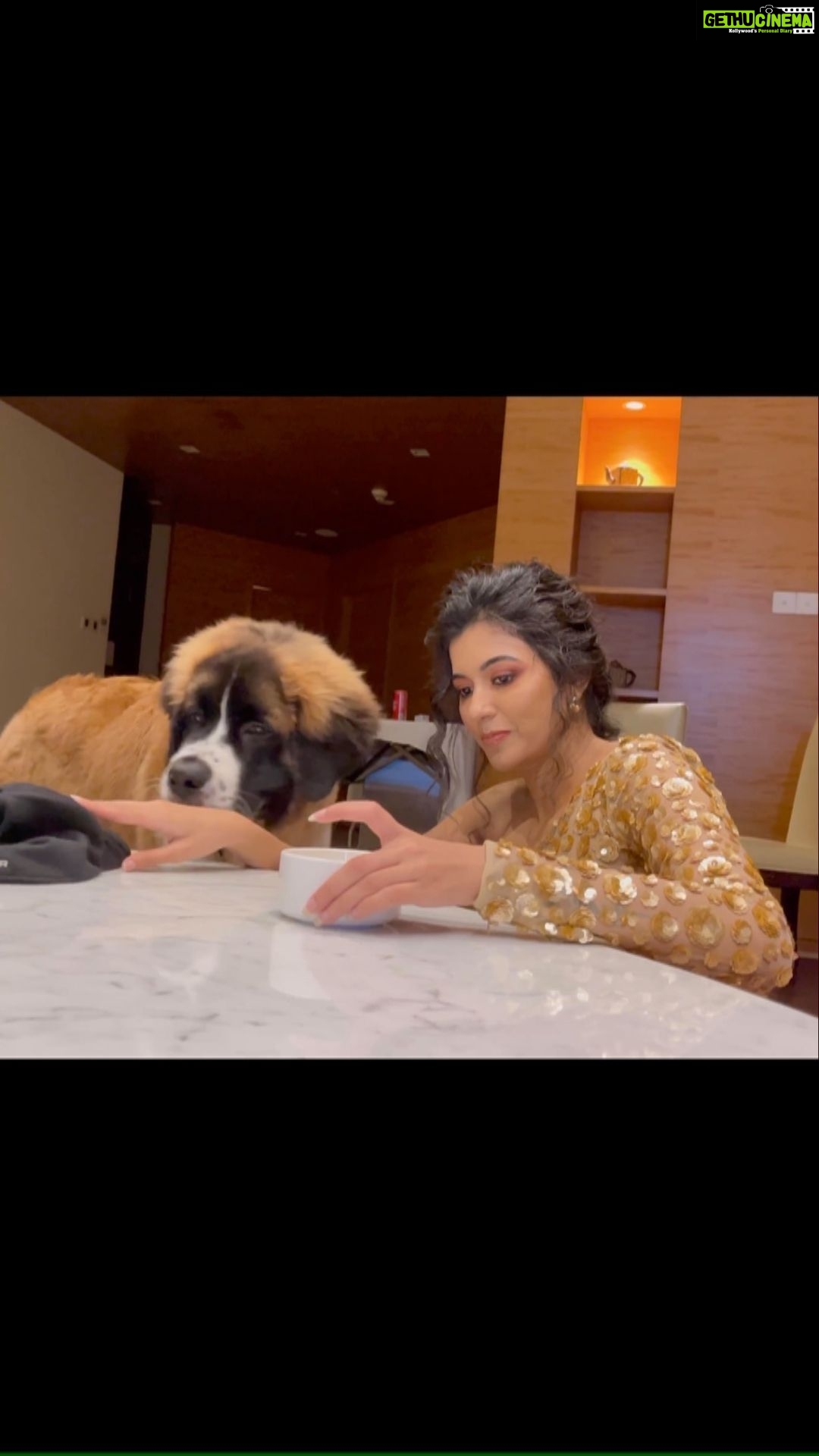 Anju Kurian Instagram - ❤️🐾❤️ . . . . 🎥- @thetravelleraa 👗- @suresh.menon 💁♀️- @pinky