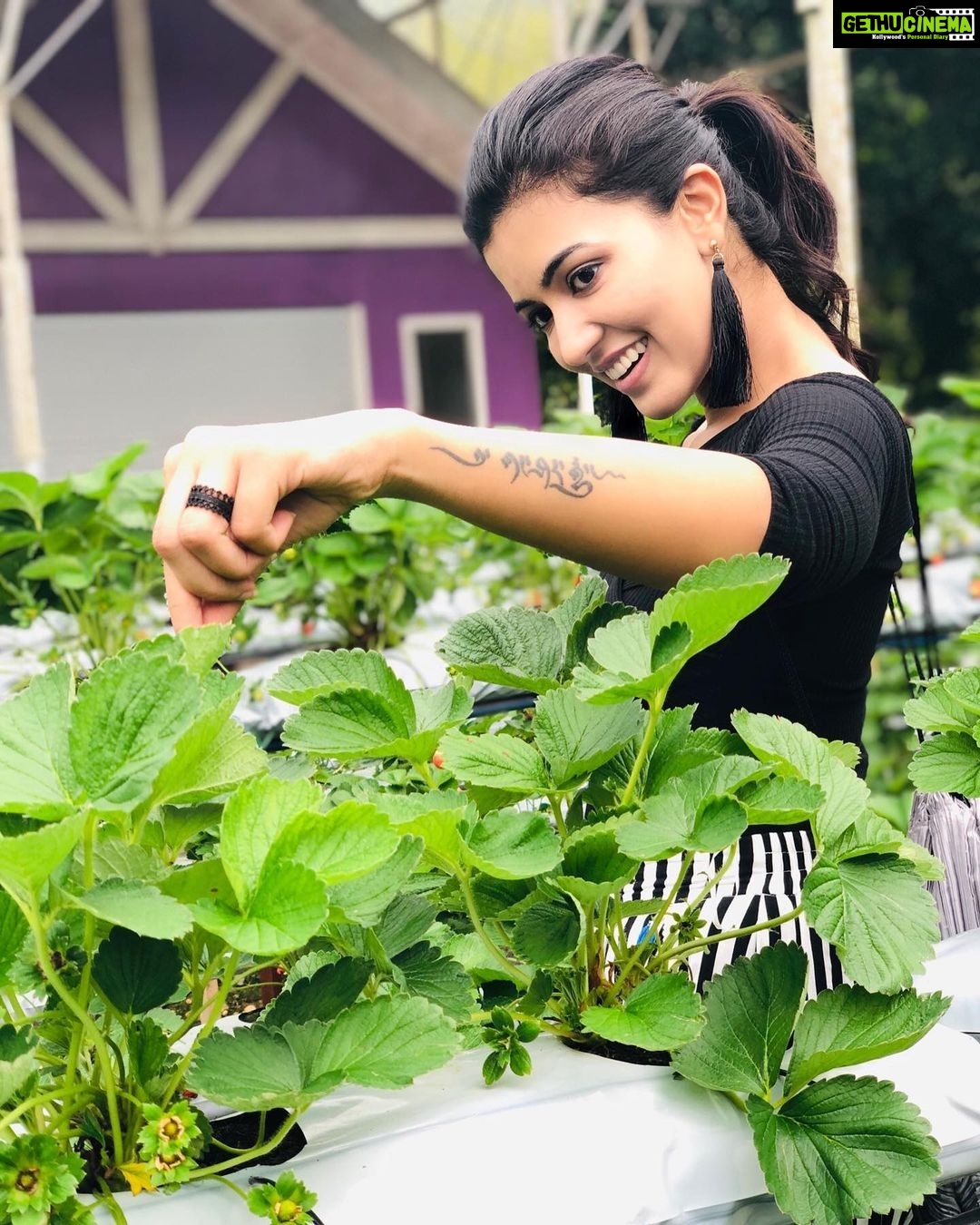 Anju Kurian Instagram - You are never fully dressed without a smile 😊