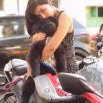 Anju Kurian Instagram - My hug therapist 🖤🖤🖤 #chowchowpuppy #furball #puppylove🐶 #picoftheday #instagood #saturdayvibes