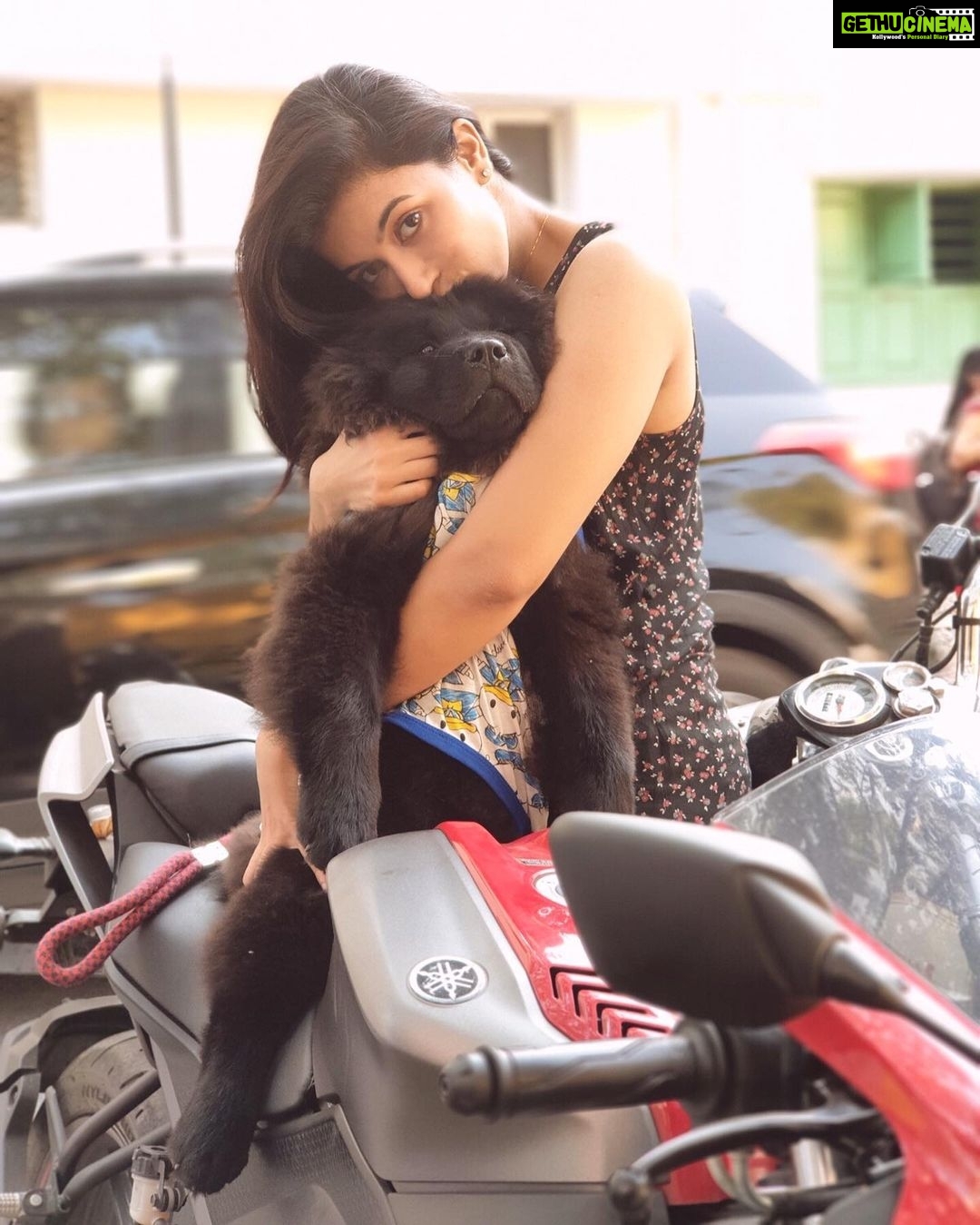 Anju Kurian Instagram - My hug therapist 🖤🖤🖤 #chowchowpuppy #furball #puppylove🐶 #picoftheday #instagood #saturdayvibes