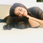 Anju Kurian Instagram - Sometimes u just gotta lay on the floor with ur puppy 🐶. #myfluffypillow