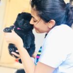 Anju Kurian Instagram - #puppylove 🐶🐶🐶