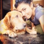 Anju Kurian Instagram – #happysunday #littlethings #puppylove #momentslikethese #spreadlove #cutiepie #lazyday #innocentfaces #sunny_day #vacationmode #instafamily #instagood #goodday #positivevibes #xoxo