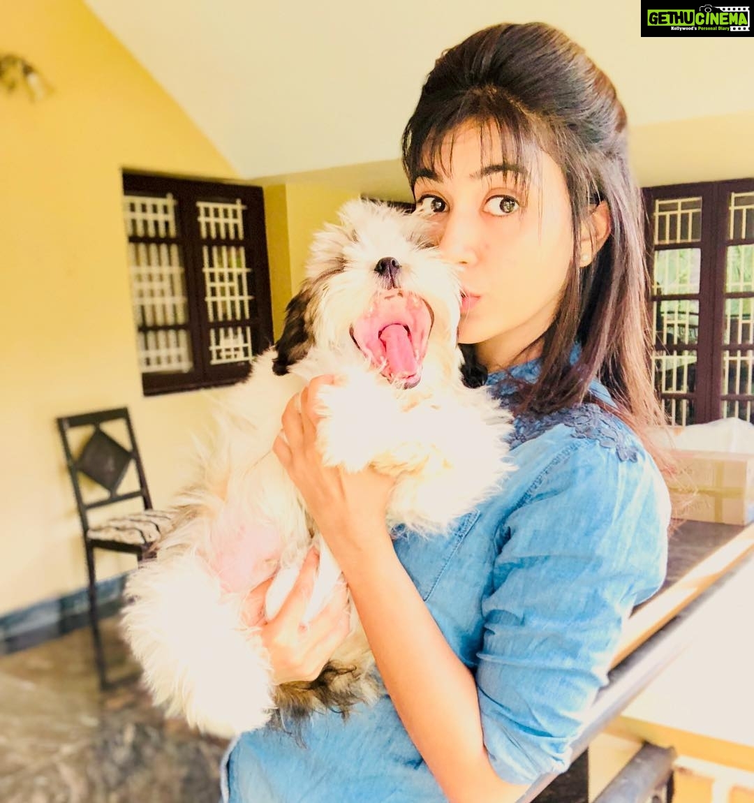 Anju Kurian Instagram - Finally I copied Romeo’s hairstyle 💁🏼♀️ And that’s his reaction for it😯😳🤯